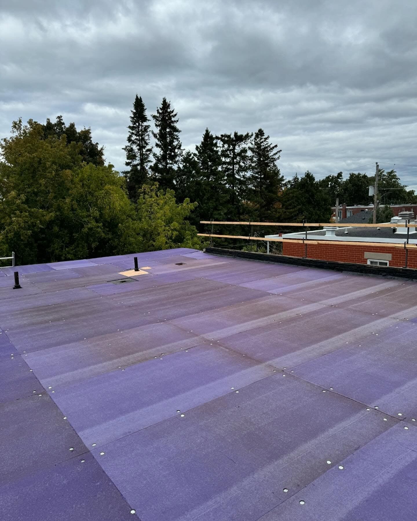 Expert Roof Work